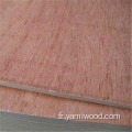 Pilywood commercial Bintangar 18 mm 12 mm Bintangar